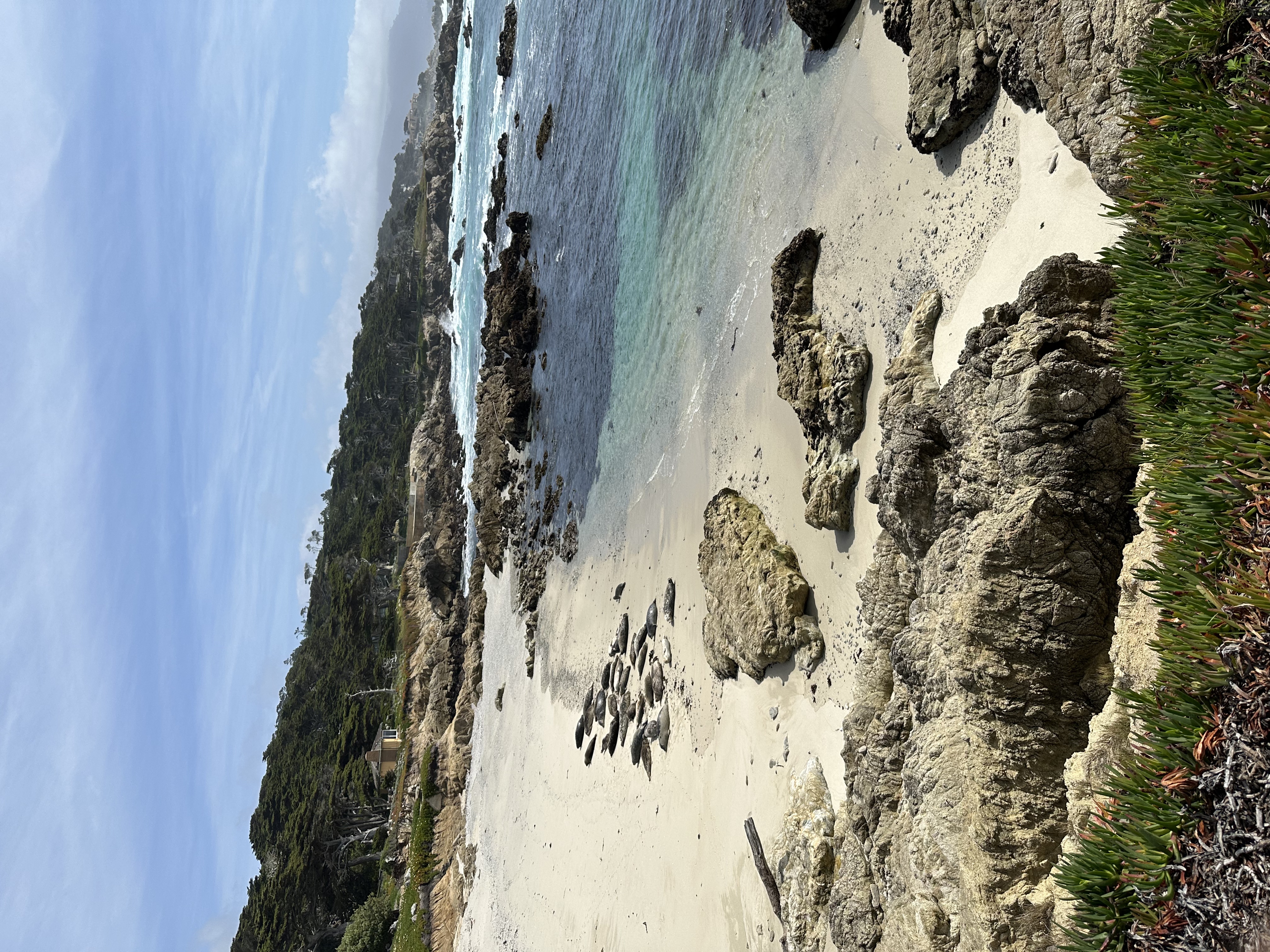 Professional conference interpreting